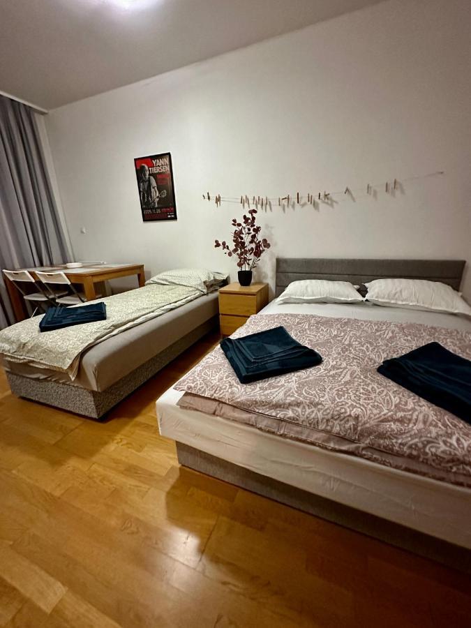 Central Apartment With Balcony 布达佩斯 外观 照片